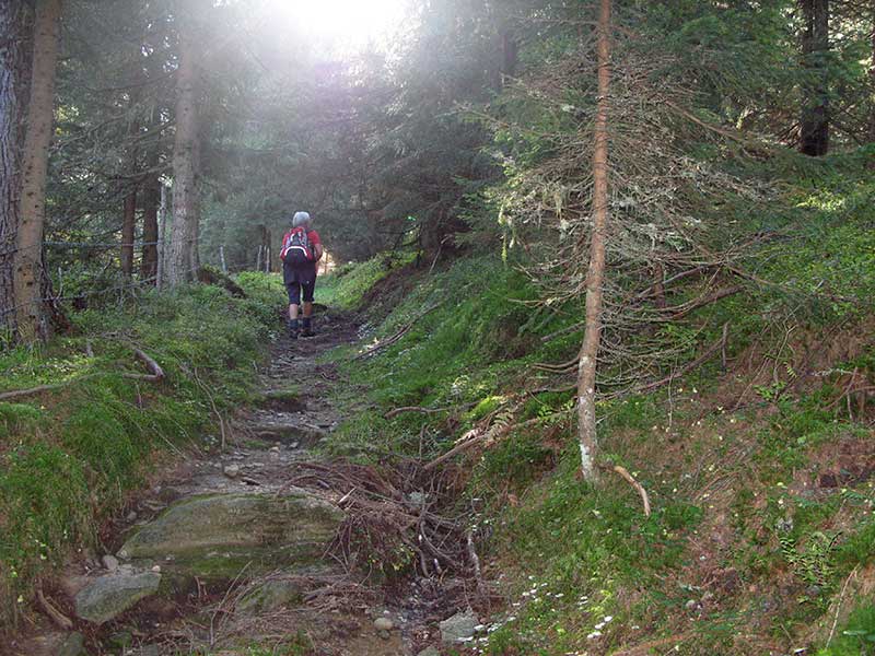 schoberspitze